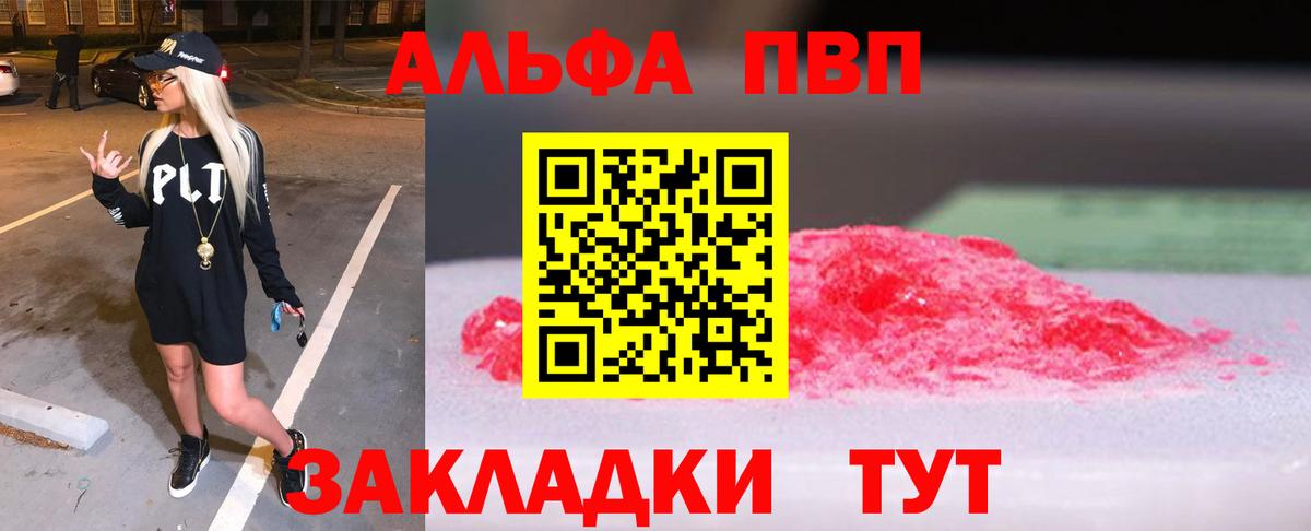 Alfa_PVP СК КРИС Горно-Алтайск