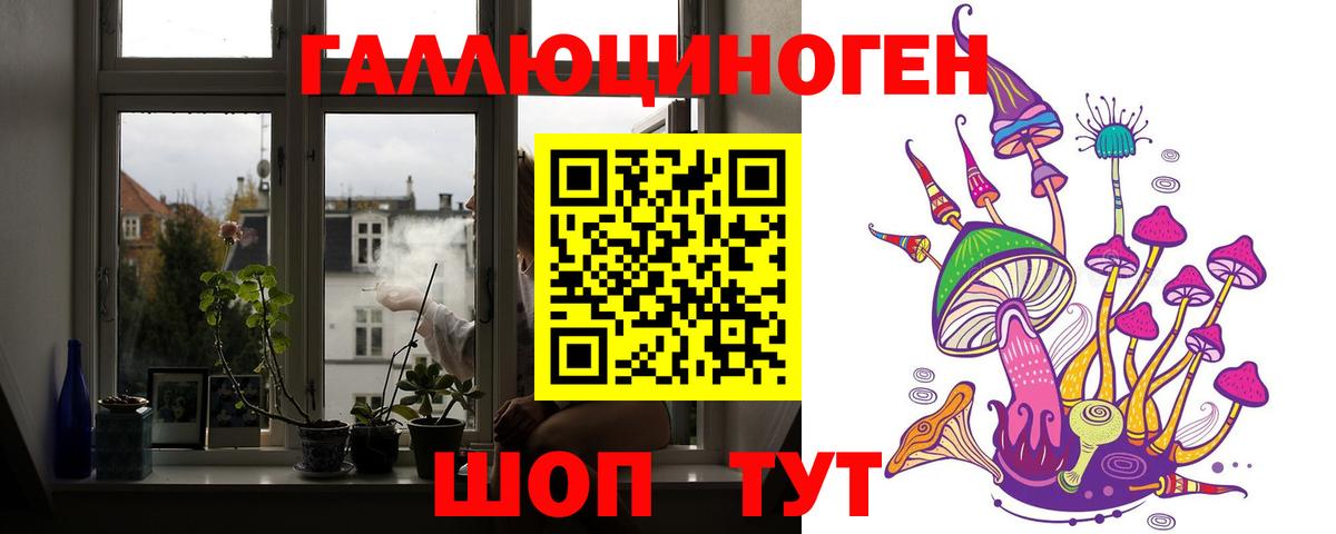 где продают наркотики  Вход с VPN  Псилоцибиновые грибы Psilocybine cubensis  Горно-Алтайск  Галлюциногенные грибы мухоморы 